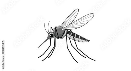 Detailed scientific illustration of a mosquito with transparent wings and a striped body shown from a side profile view.