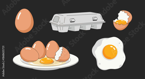 Comprehensive collection of eggs featuring a whole egg, a carton, a cracked shell, and a sunny side up fried egg on black.