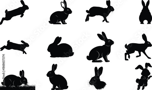 Collection of various rabbit silhouette poses and actions in black on white background