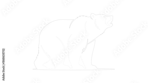 Angry Bear Silhouette with Skull Outline in Black