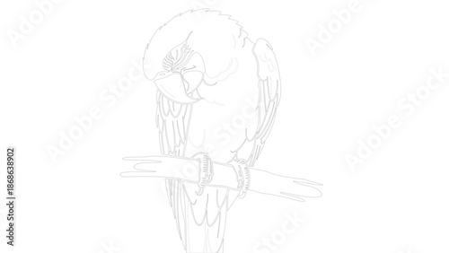 Dramatic Black and White Skull with Crossed Bones