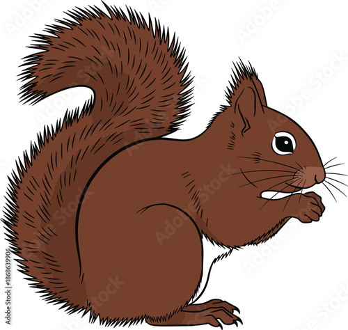 Cartoon squirrel, brown fur, bushy tail, side profile, cute rodent, forest animal, sitting pose, flat vector illustration