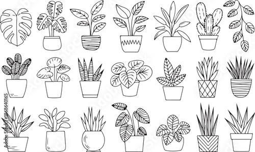 Houseplants. Vector set of outline drawings plants, succulents in pot. Indoor exotic flowers with stems and leaves. Monstera, ficus, pothos, yucca, dracaena, cacti, snake plant for home and interior