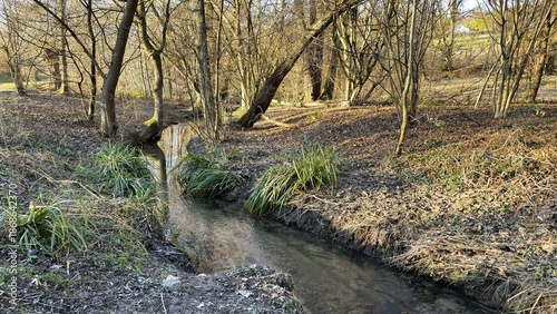 Wallpaper Mural Winter Forest Torontodigital.ca