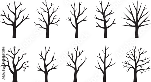 Naked trees silhouettes set. Hand drawn isolated illustrations