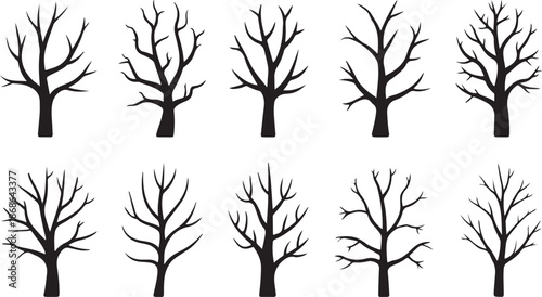 Naked trees silhouettes set. Hand drawn isolated illustrations