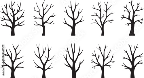 Naked trees silhouettes set. Hand drawn isolated illustrations