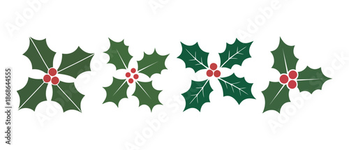 christmas holly leaves and berries on white background, vector illustration