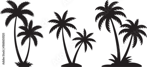 Tropical trees for design about nature. Set of palm trees silhouettes. Vector illustrations isolated on white background