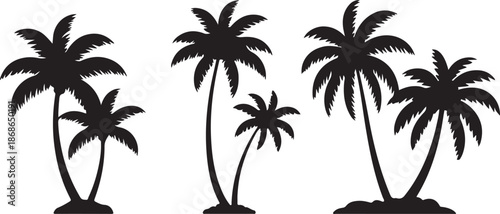 Tropical trees for design about nature. Set of palm trees silhouettes. Vector illustrations isolated on white background