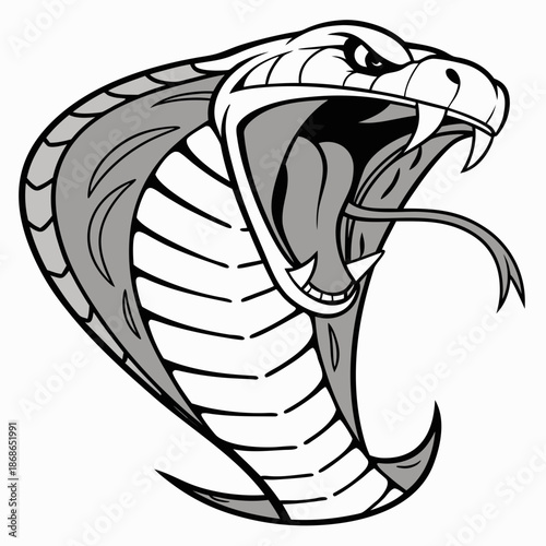 Cobra head sketch, hand drawn vector, aggressive open mouth, detailed hood. Vector illustration.
