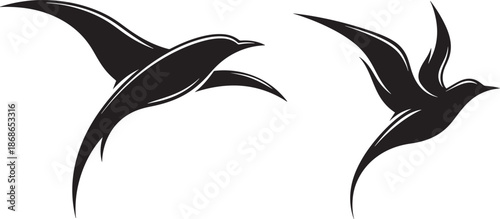 Two black silhouette birds in flight isolated on with dramatic wings outstretched freely