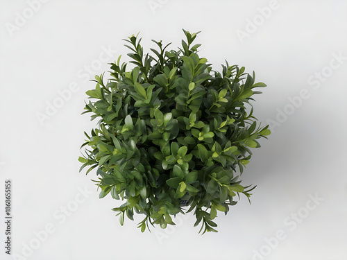 Modern Artificial Plant Decor: Vibrant Greenery and Eco-Friendly Elegance for Minimalist Interiors