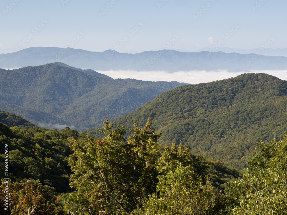 Obraz premium Morning mist fills a valley towards the Great Smokey Mountains seen from the Blue Ridge Parkway near Asheville, North Carolina