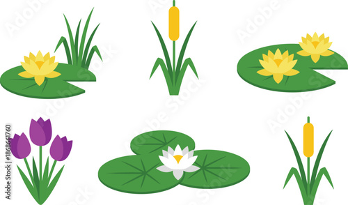 Aquatic and marsh plant illustration set, water lily, cattail, tulip, pond flora, stylized, vector graphic, isolated