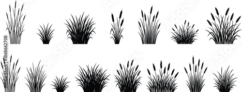 Grass and reed silhouette set, botanical icons, seed heads, wetland plants, black outline, isolated, vector graphic