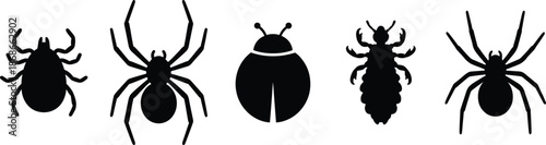 Insect and arachnid silhouette set, tick, spider, ladybug, louse, black outline, isolated, entomology vector graphic