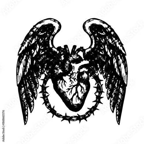 Barbed Wire Heart, Angelic Freedom