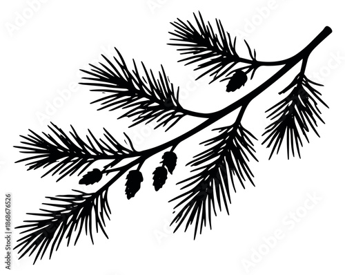 Hand drawn line art illustration of a pine branch depicting pine needles and small cones for winter and holiday designs