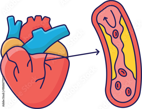 heartdiagraminternalstructuresillustrationisolated