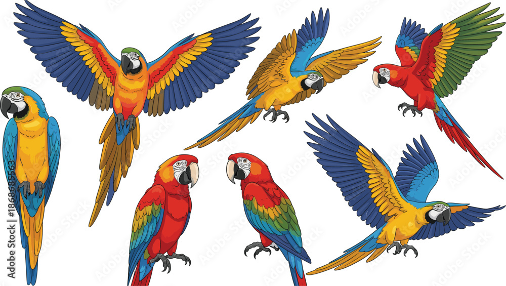 Αυτοκόλλητο Colorful macaw parrots set in different flying and perched poses exotic tropical