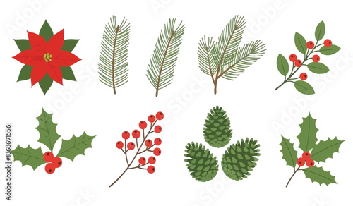 A beautifully illustrated collection of festive evergreen branches poinsettias holly and pinecones presents a winter holiday botanical arrangement high quality professional