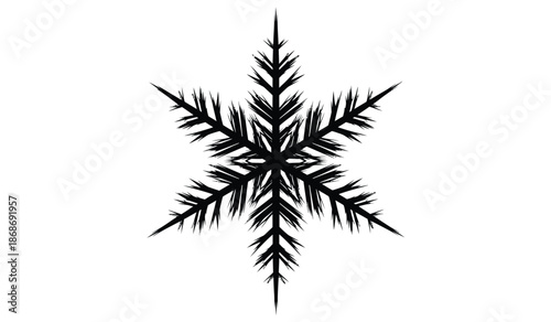 A detailed black and white illustration of a complex snowflake structure showcasing intricate patterns and symmetrical design against a plain background