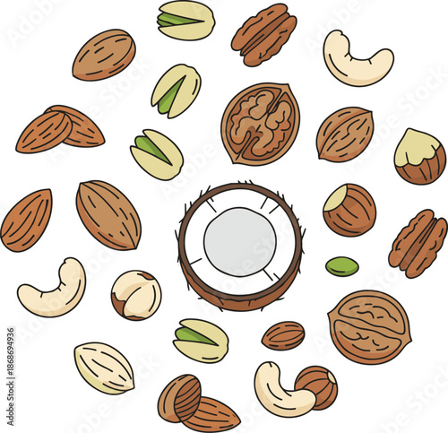 Assorted mixed nuts and coconut illustration featuring almonds, walnuts, pistachios, cashews, and pecans arranged in a circle