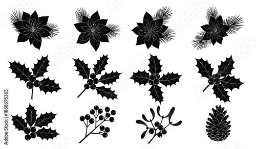 a collection of stylized black silhouettes showcasing various winter botanical elements like poinsettias holly pinecones and berries high quality professional detailed