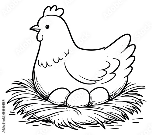 Hand drawn line art illustration of a hen depicting sitting on a nest with eggs for farm life concepts