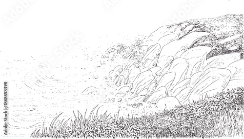 Detailed black and line of rocky shoreline with water and grass
