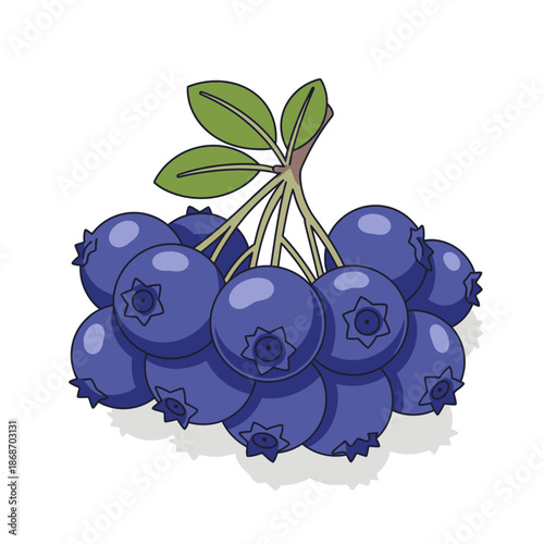 Blueberries with Leaves on Stem.