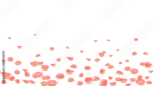 Flower of love, orange rose petals banner seamless horizontal. Rose petals on floor background