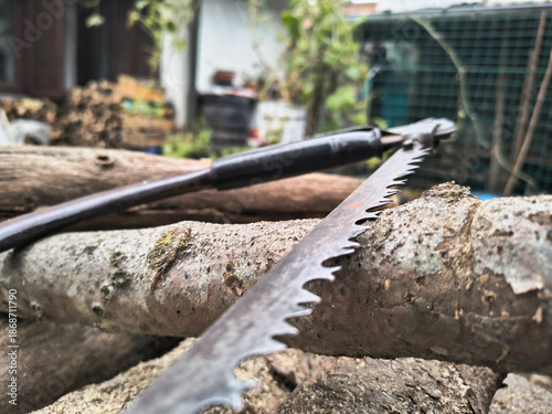 Blade close up traditional hand saw