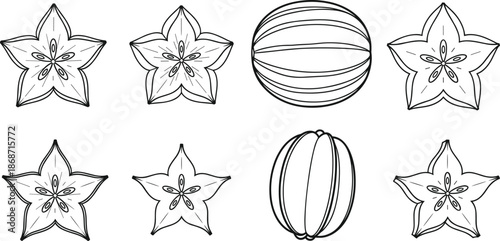 Starfruit carambola and sea buckthorn with tomato engraving sketch set, organic fruit and vegetable CAD drawing flat vector illustration for cookbook