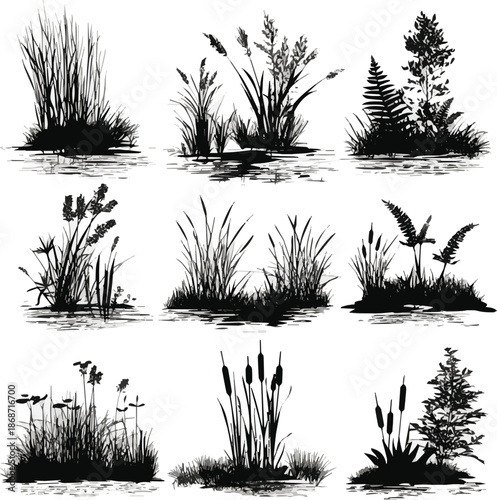 Create a Comprehensive vector silhouette set of wetland, aquatic plants, cattails, reeds, ferns, and grass isolated icons for nature landscape design