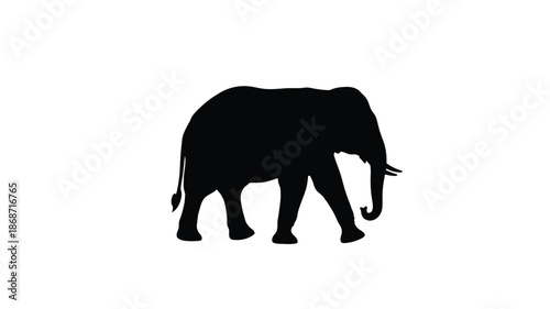 A striking black silhouette of an elephant standing prominently against a white background silhouette