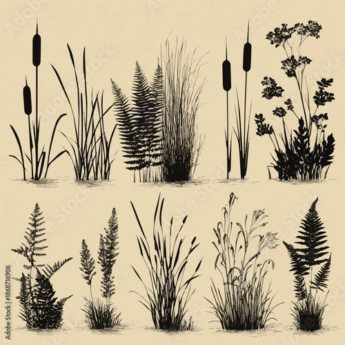 Create a Comprehensive vector silhouette set of wetland, aquatic plants, cattails, reeds, ferns, and grass isolated icons for nature landscape design