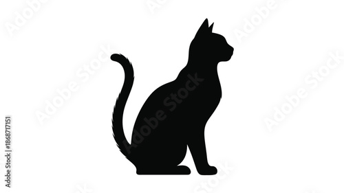 A striking black cat in a seated position a bold silhouette