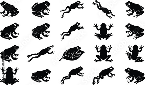 Frog silhouette set showing jumping, sitting and swimming poses, amphibian wildlife icons collection, black animal figures isolated on gray background for nature designs