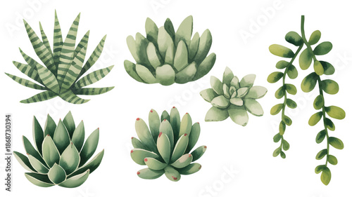 Hand painted succulent leaves collection in soft watercolor tones.