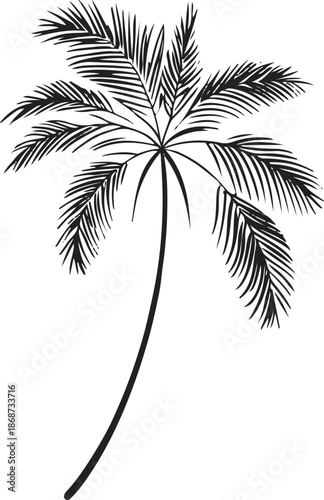 Minimalist line art of a date palm branch with smooth curved strokes, black vector illustration 2