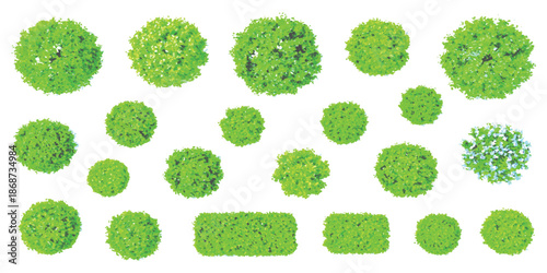 Various green shrubs and hedges from top view isolated on white background