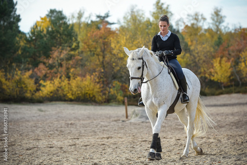  View on a woman rider with her horse in  forest