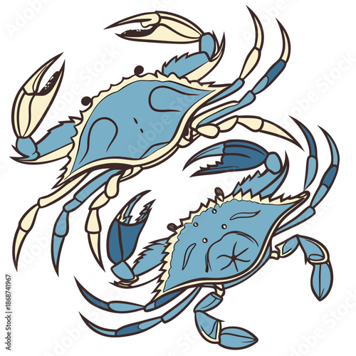 This high-quality, realistic blue crab vector illustration captures the vibrant colors and intricate details of the iconic Callinectes sapidus. Featuring the signature bright blue claws and mottled.