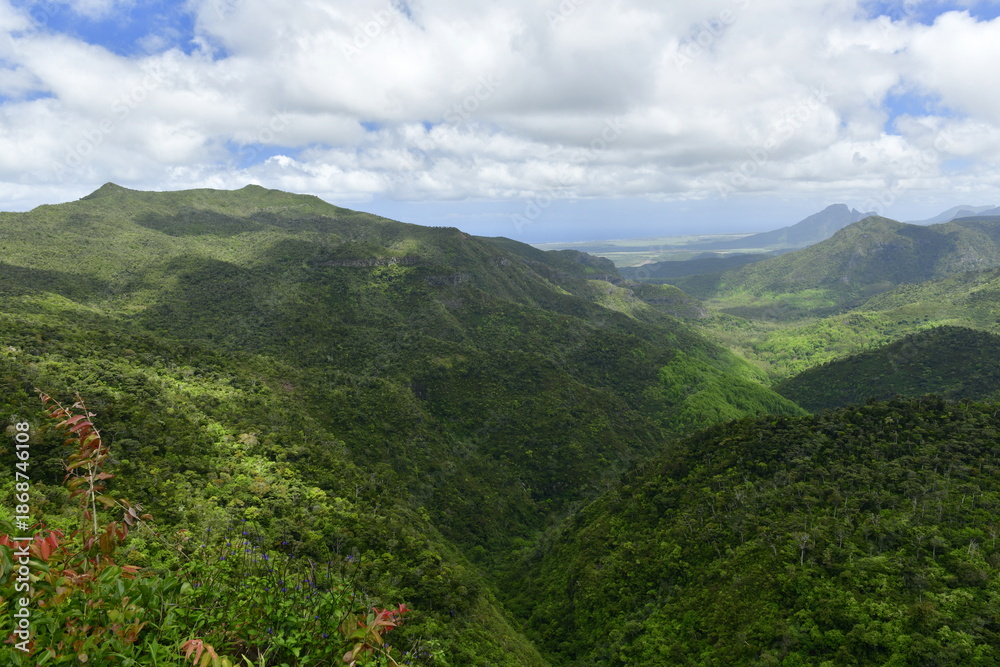 Fototapeta premium Black river gorge, Mauritius, Indian Ocean.
