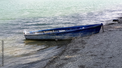 An old wooden boat at the bank of the river in summer.