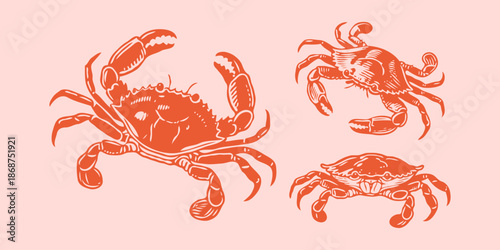 Three red crabs drawn in a hand-drawn sketch style on a pale pink background, representing marine wildlife and coastal nature concepts