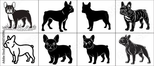 A collection of french bulldog illustrations in various poses and styles