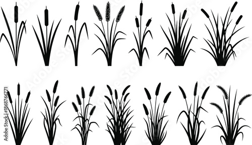 Collection of cattail plant silhouettes in various growth stages